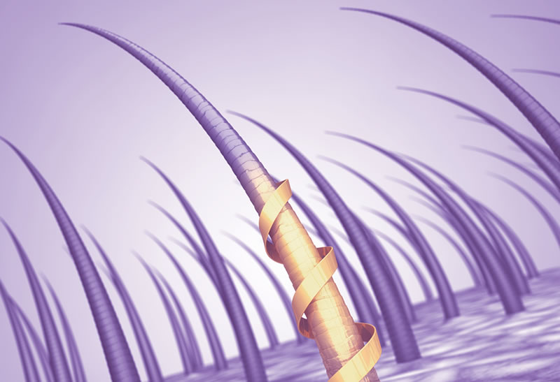 10° Conversa Paranaense A Ciências Biomédicas